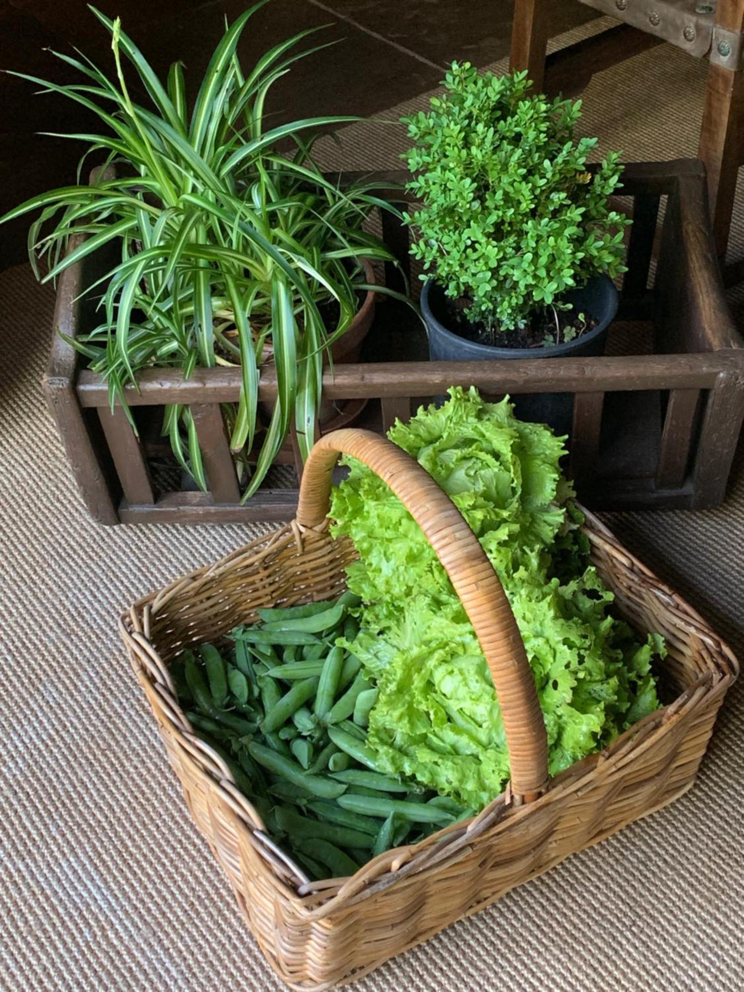 Renedo De Cabuerniga Remanso Del Rio Sajaヴィラ エクステリア 写真